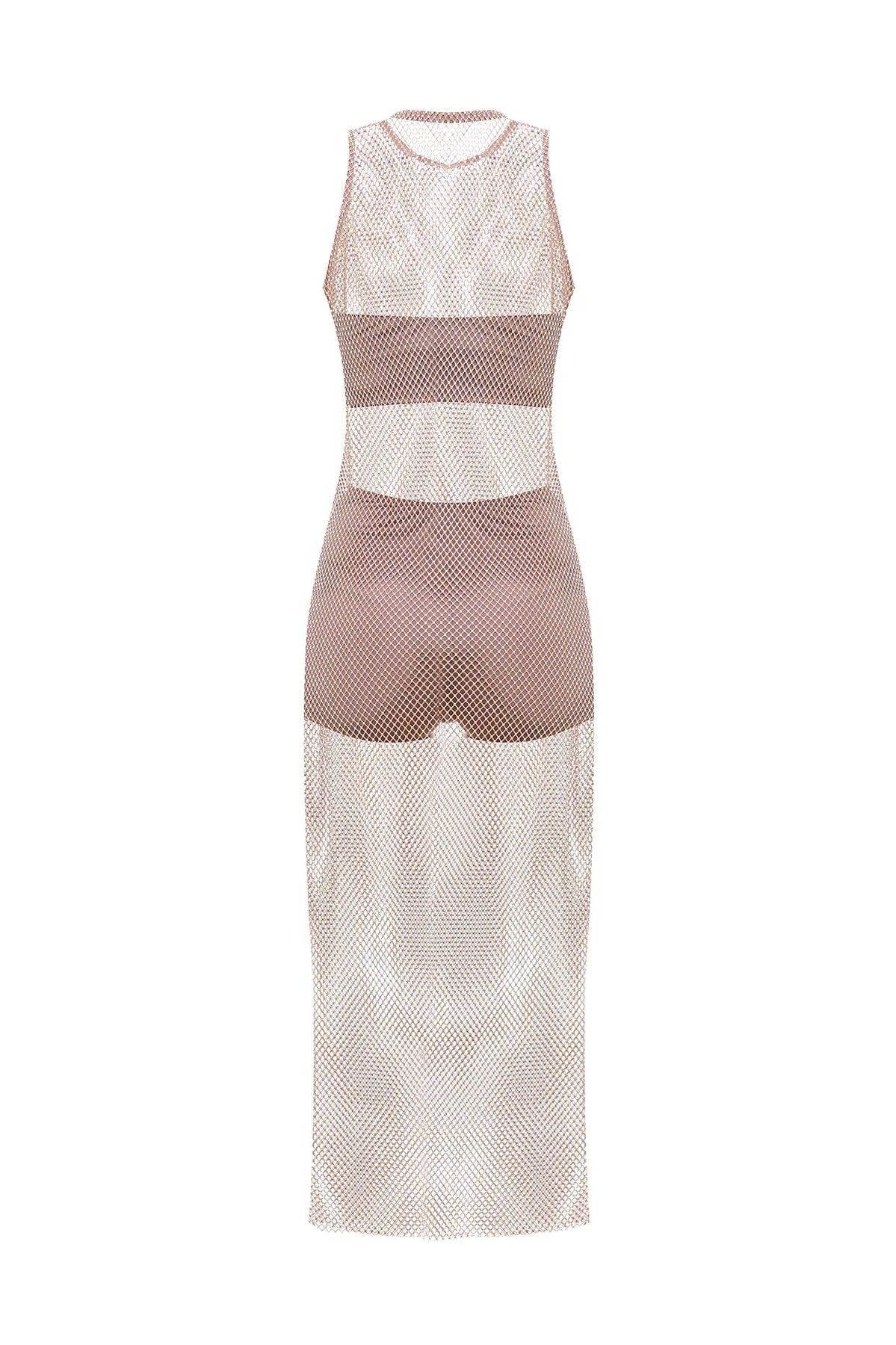 Rosa Beige Mesh Dress
