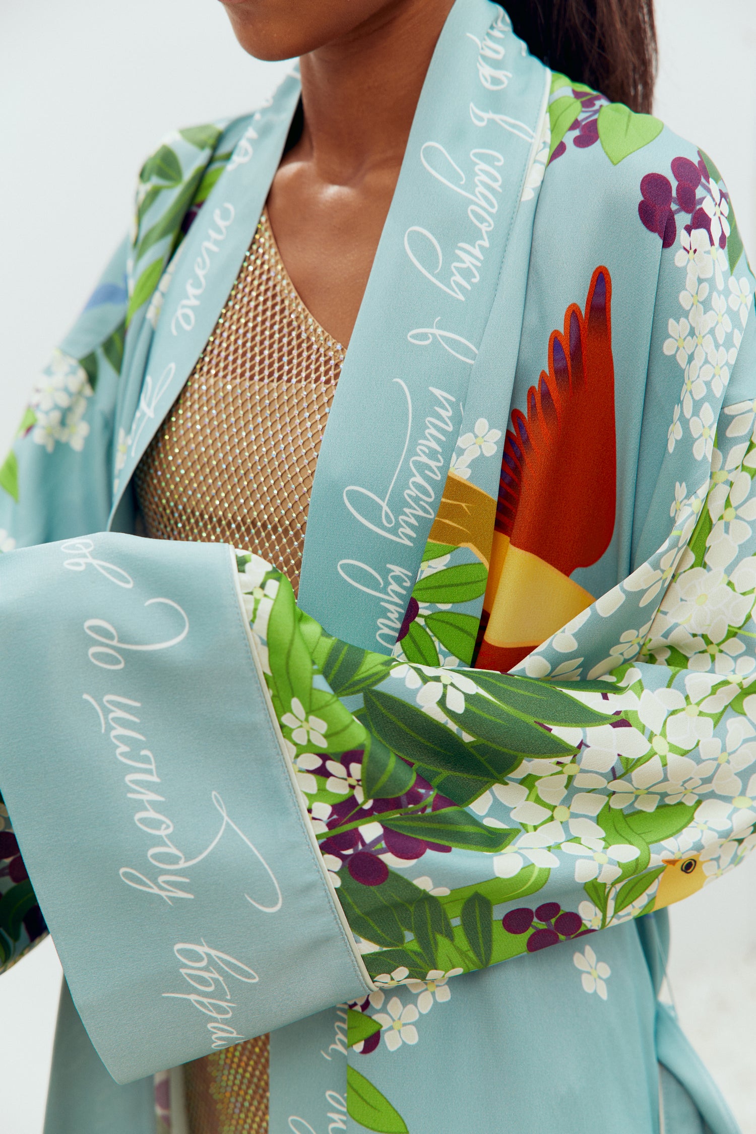 Cheremshyna Robe Dress