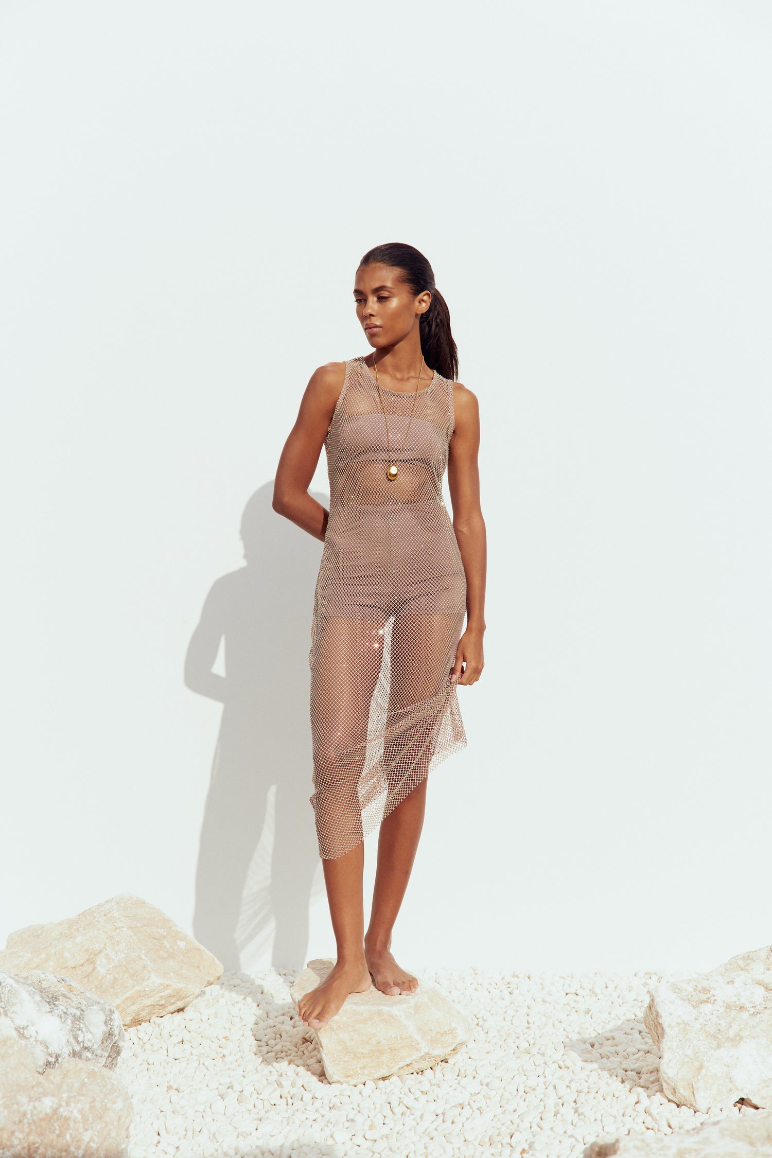 Rosa Beige Mesh Dress